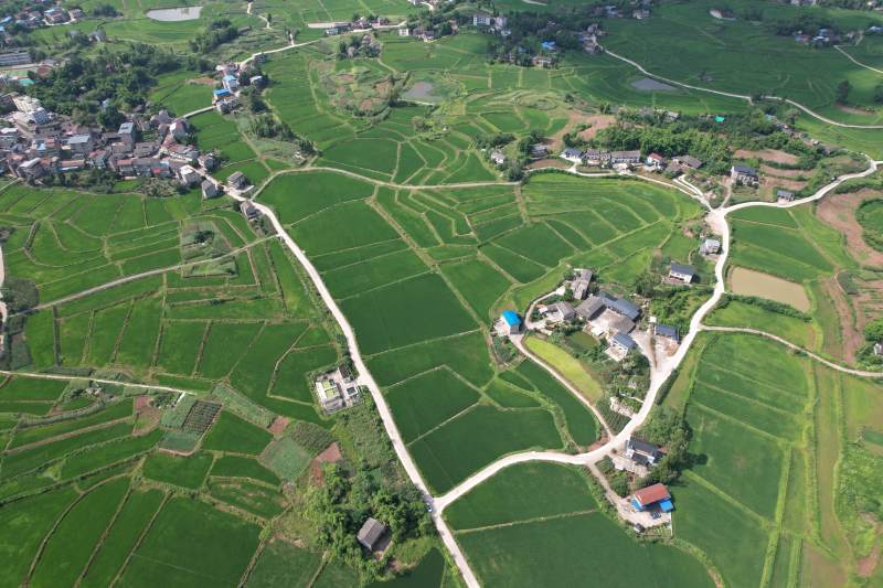 广安区石笋镇白云村田园风光如画图片