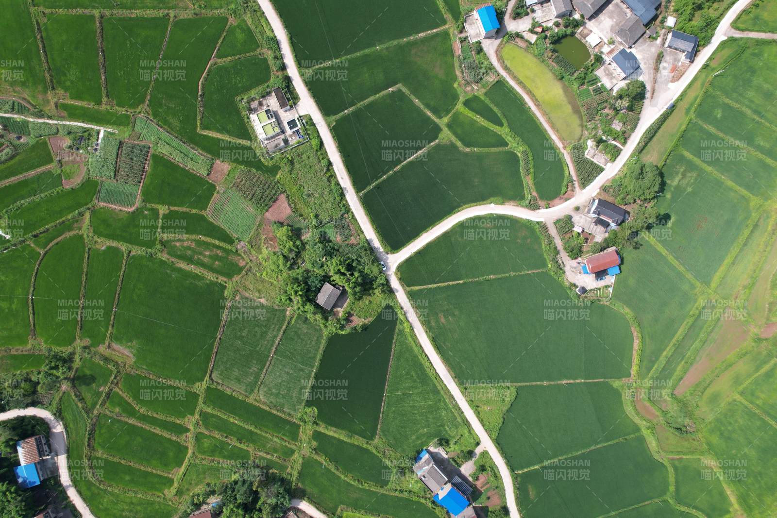 广安区石笋镇白云村田园风光航拍图图片