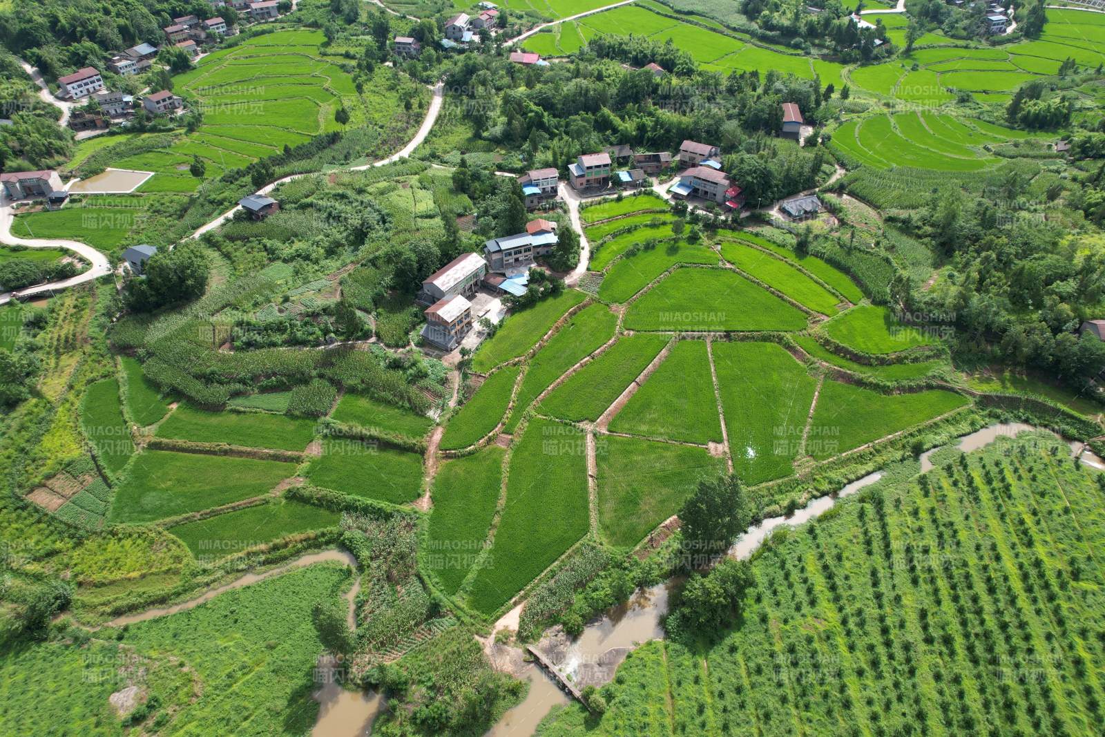 广安区石笋镇白云村田园风光如画图片