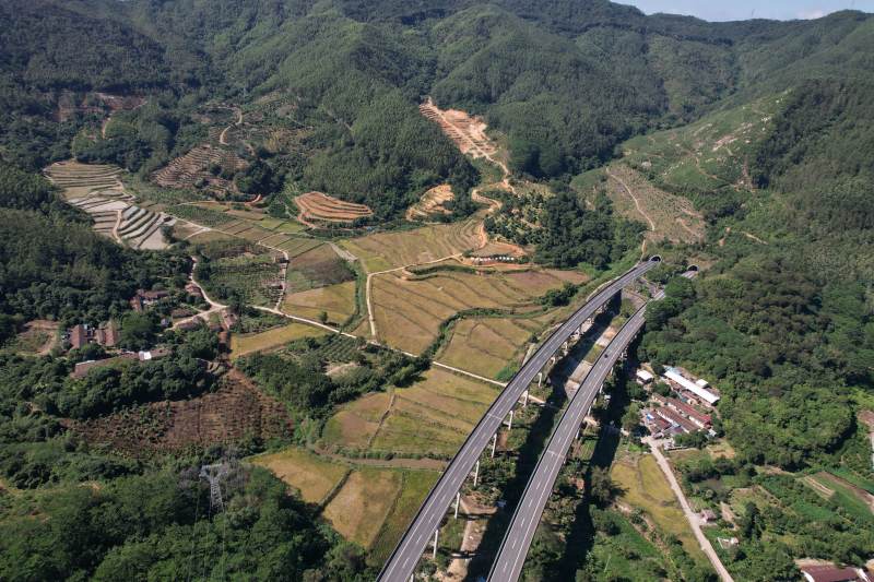 漳州市双第华侨农场 山间高速穿行田园图片