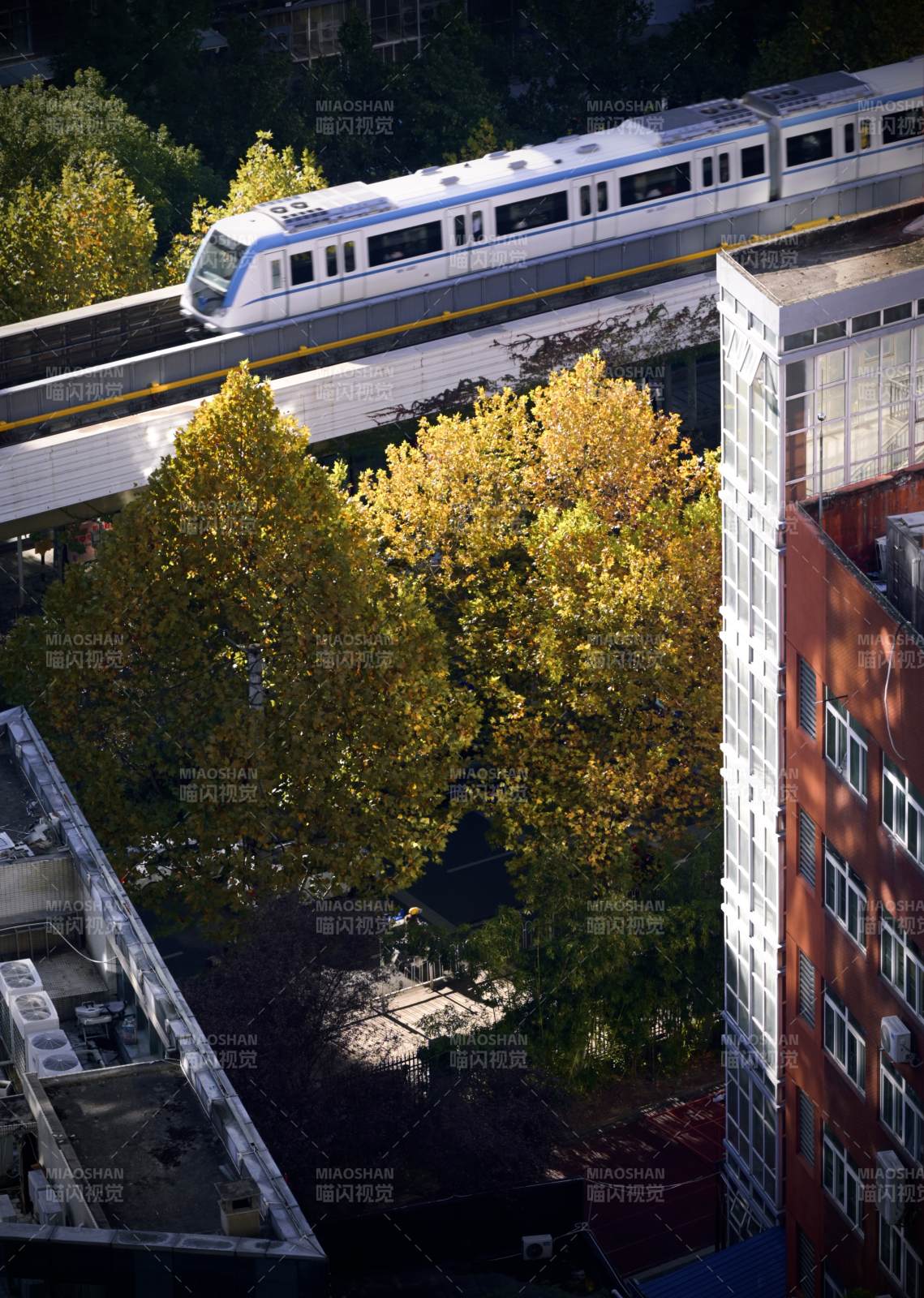秋日城市轻轨掠影图片
