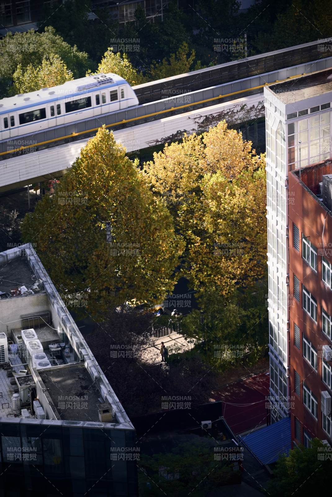 秋日城市轻轨景图片