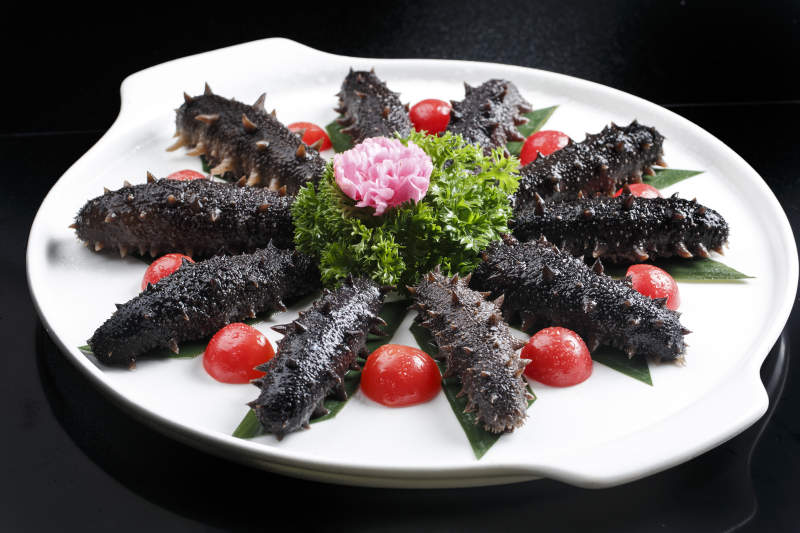 滋补梅花参刺身图片