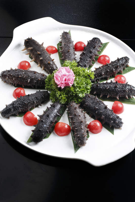 滋补梅花参刺身图片