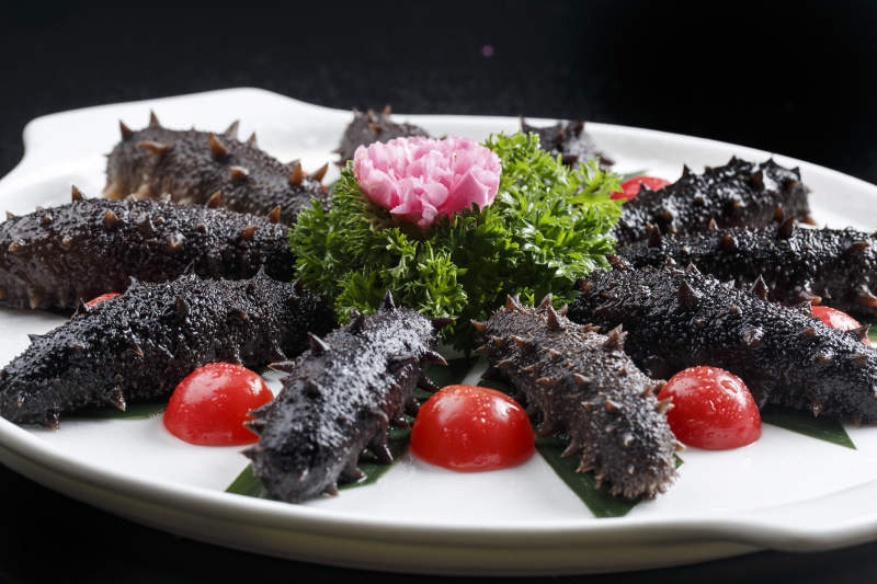 滋补梅花参刺身图片