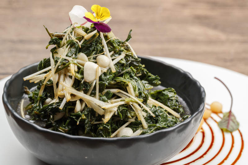 杏仁醋炆折耳根鱼腥草图片