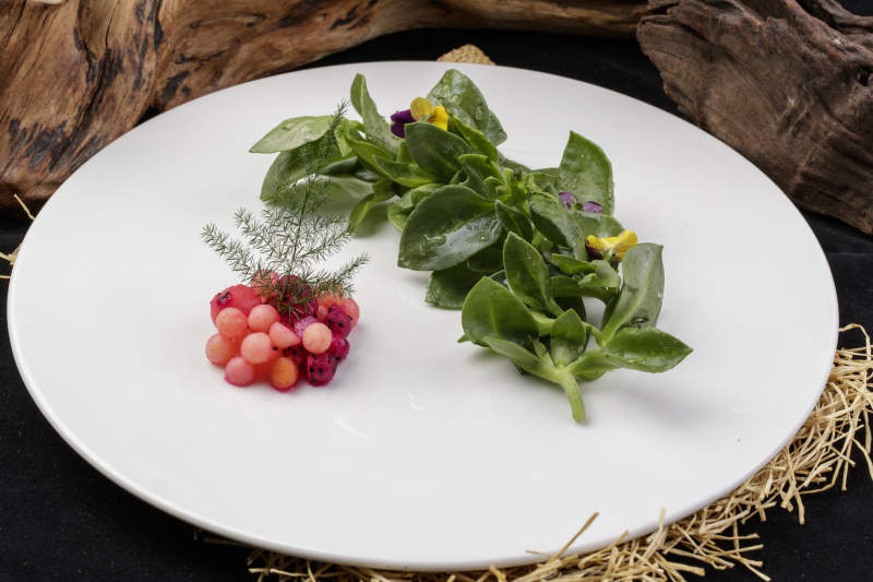 新鲜脆嫩的凉拌穿心莲摆放在黑色背景上图片