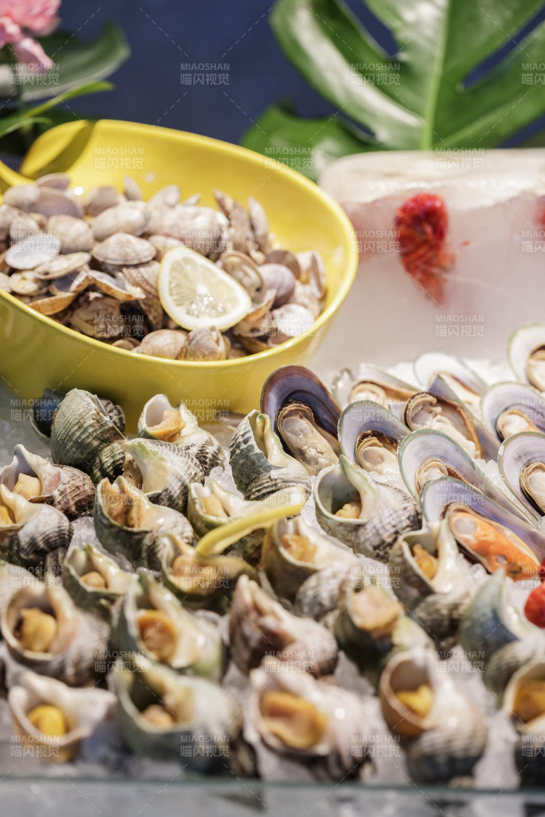 高档自助餐日式料理餐台摆放的寿司图片