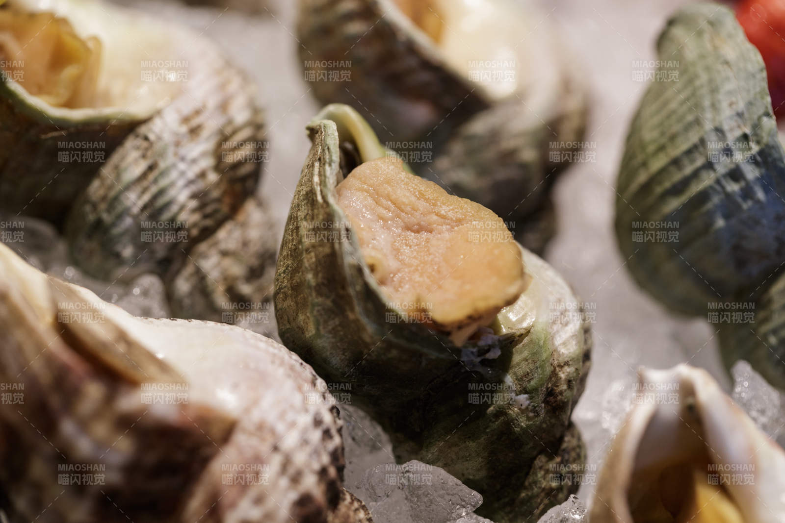 高档自助餐日式料理餐台摆放的寿司图片