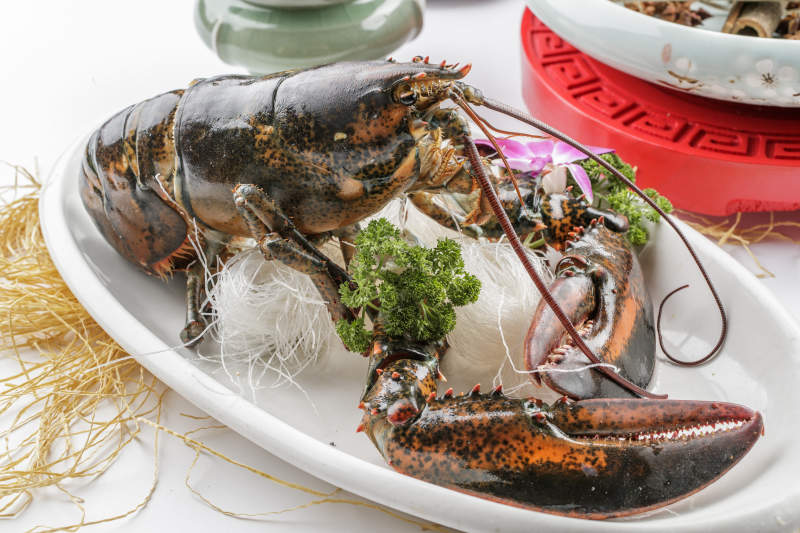 清蒸澳洲大龙虾图片