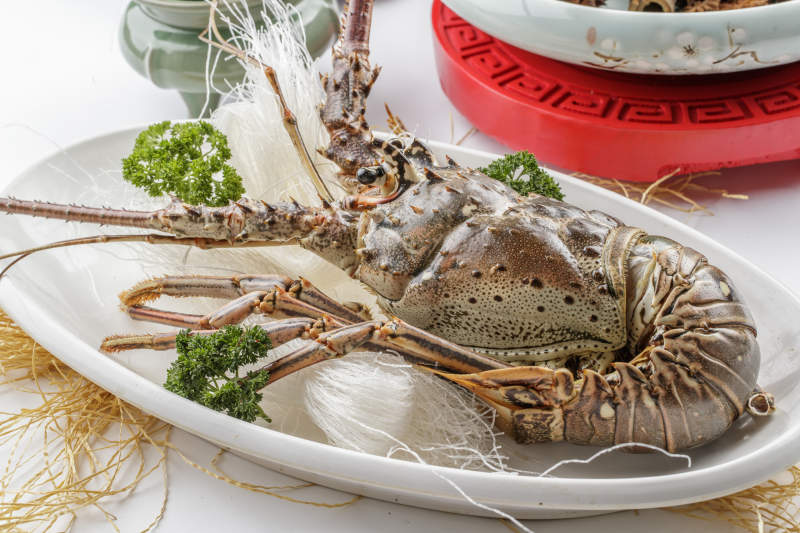 清蒸粉丝龙虾仔图片