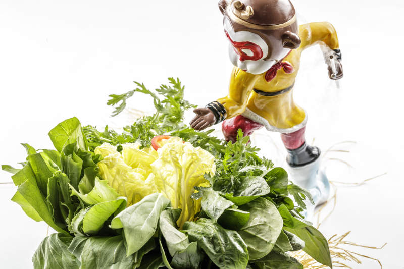 火锅食材新鲜时蔬图片