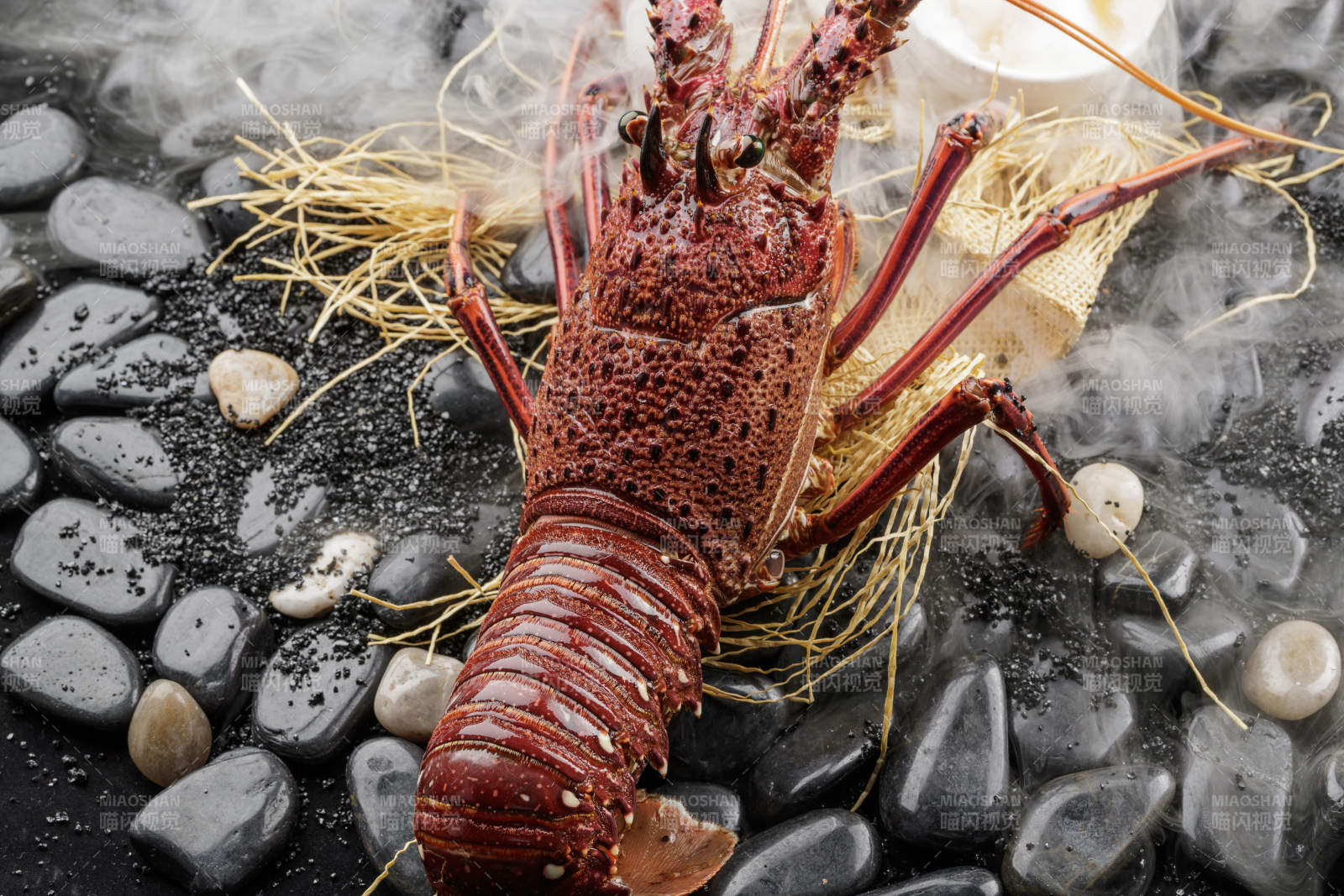 澳洲鲜活大龙虾图片