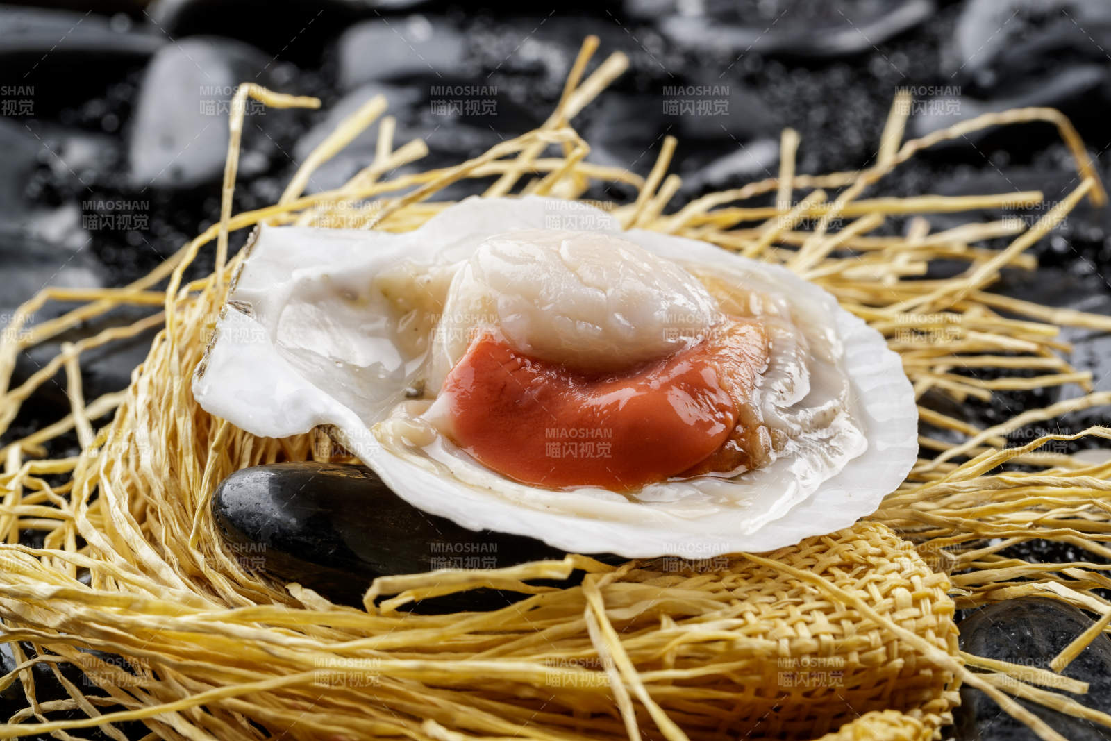 鲜活大扇贝图片