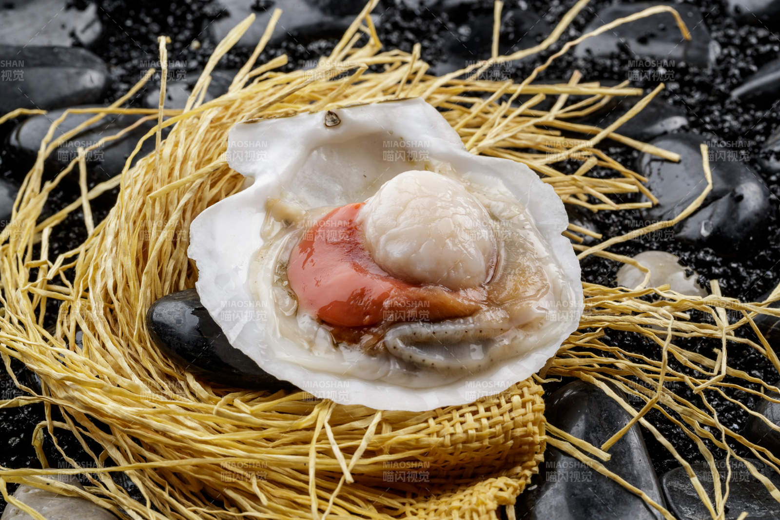 鲜活大扇贝图片