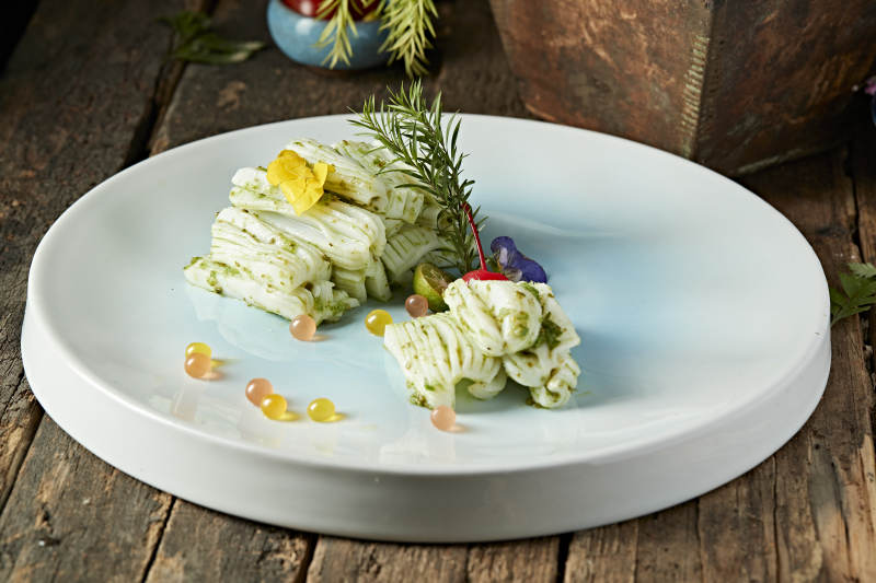 芥香山葵墨鱼花图片