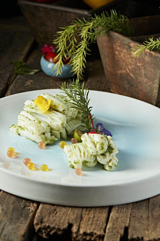 芥香山葵墨鱼花图片