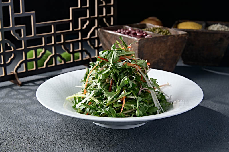 彩椒丝洋葱丝炝拌手撕苦菊图片