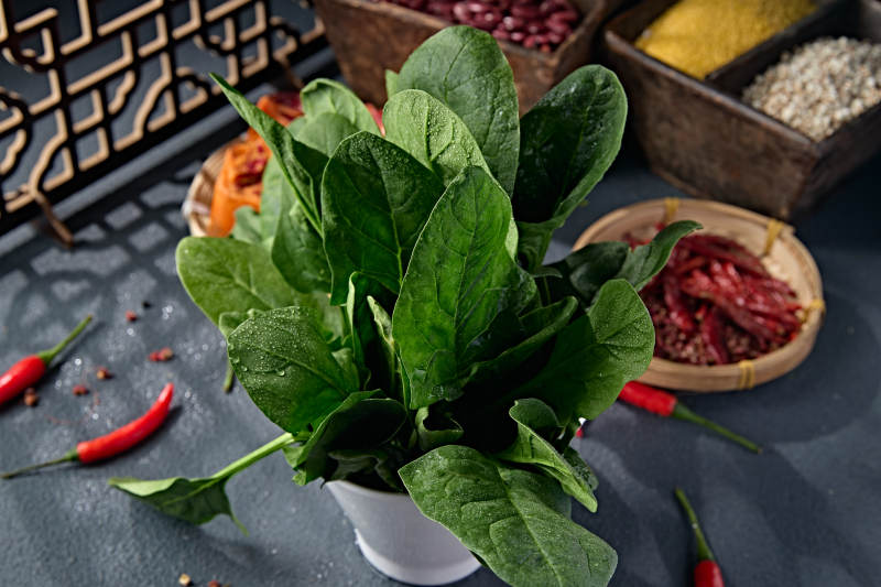 新鲜的火锅食材鲜嫩菠菜图片