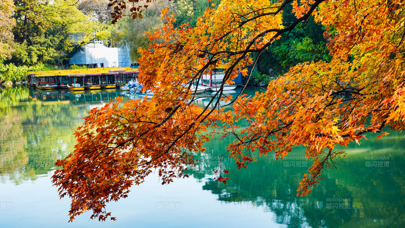 颐和园后溪湖秋湖映彩叶图片