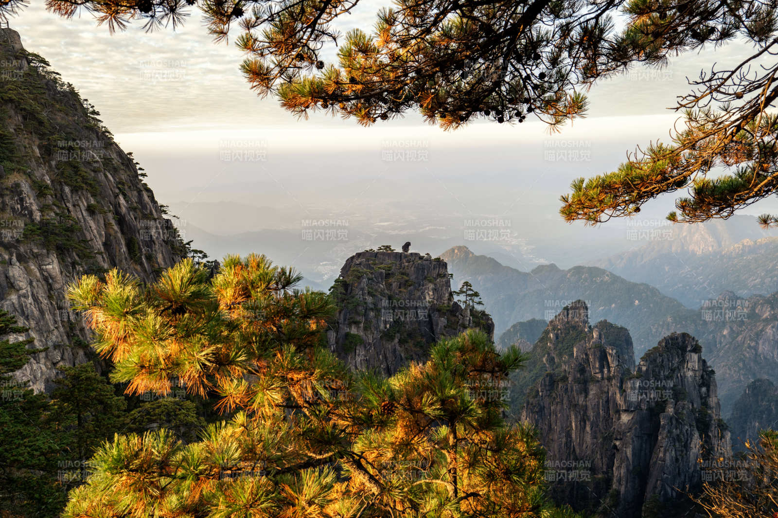 黄山松石奇景图片