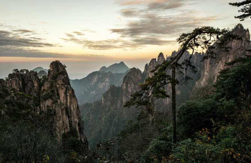 黄山奇峰云海图片