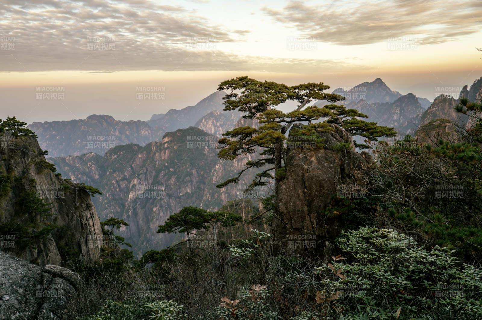 黄山奇松云海图片