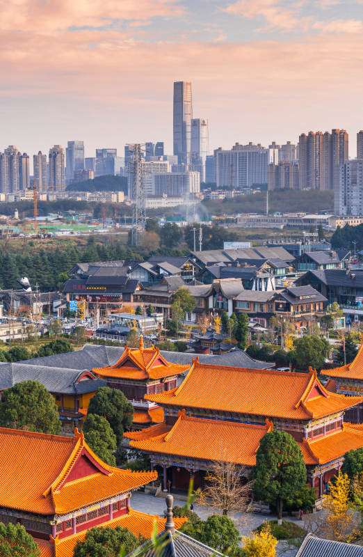 西普陀寺与金融城图片