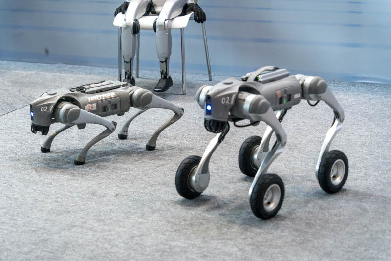 宇树机器人机器狗并行前行图片