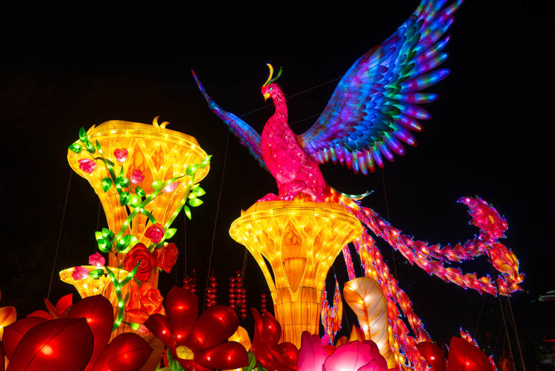 广州文化公园中秋节凤凰造彩灯凤凰展翅飞翔图片