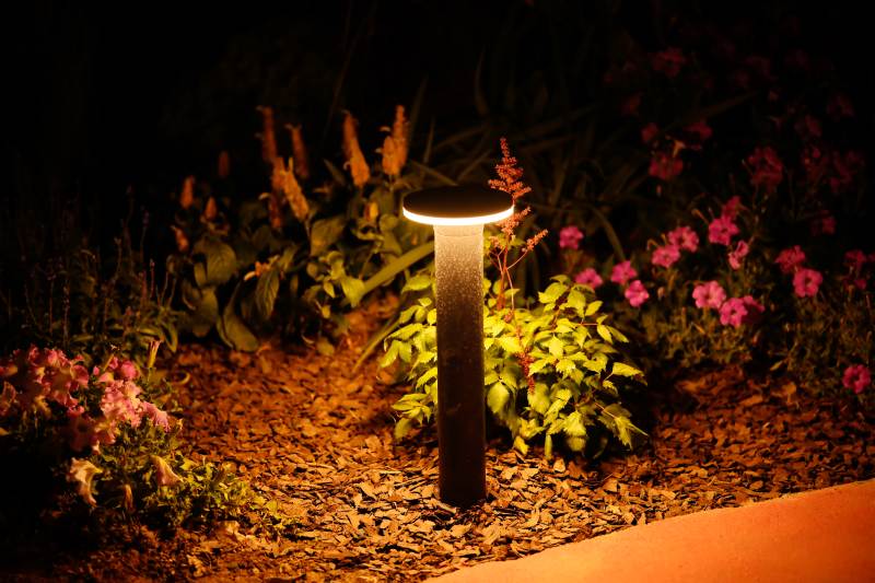 庭院夜灯映花丛图片