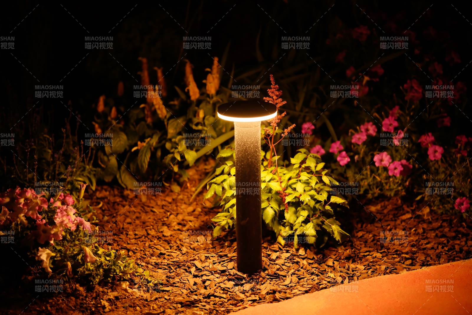 庭院夜灯映花丛图片