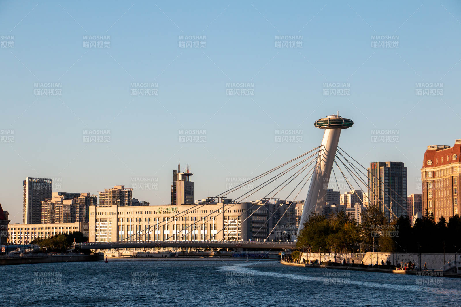 天津海河城市天际线与斜拉桥图片