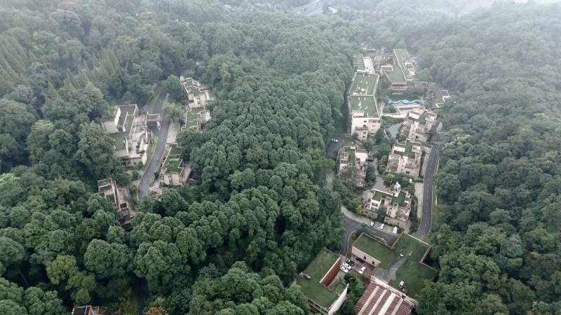 林间村落航拍图图片