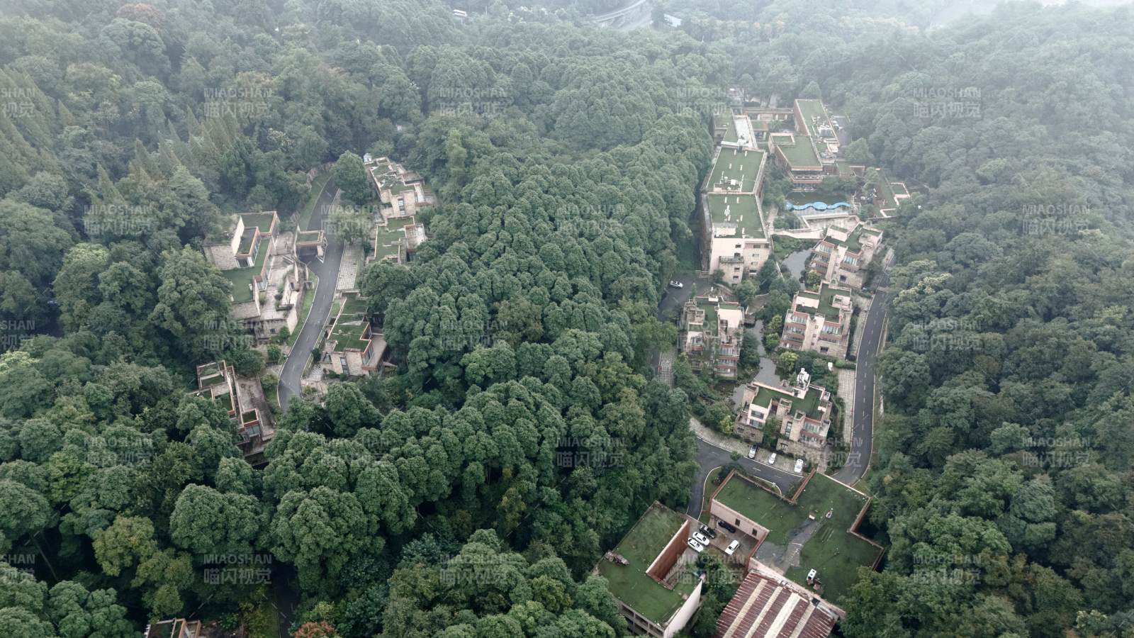 林间村落航拍图图片