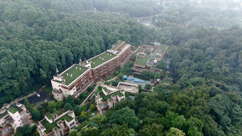 绿顶建筑群隐于林中图片