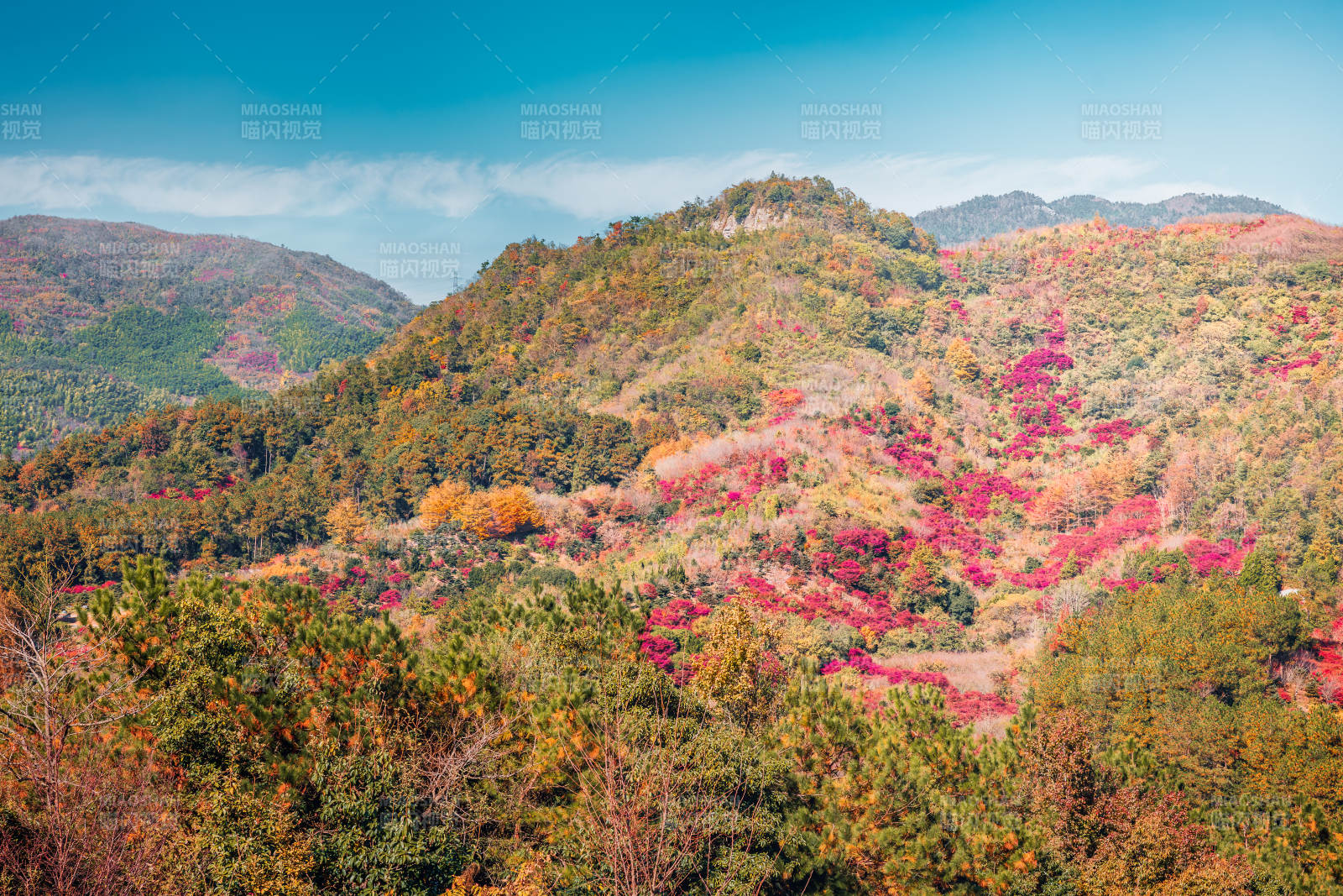 秋山彩林  宁波图片