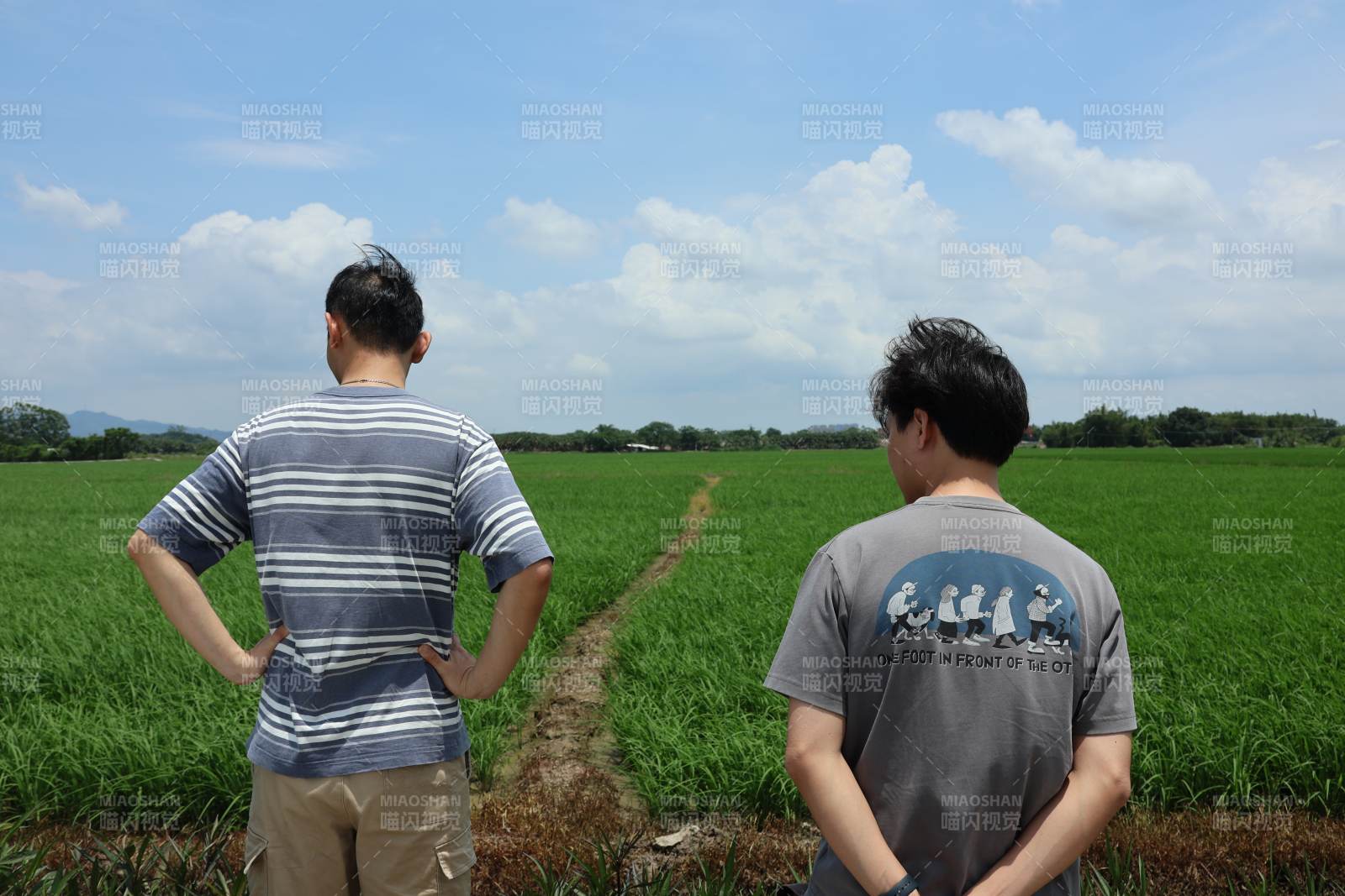 田野中的两人背影图片