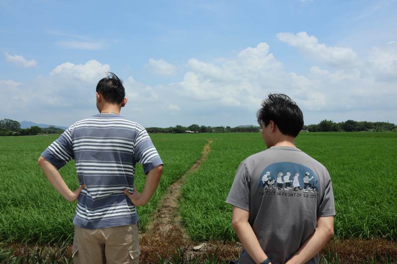 田野中的两人背影图片
