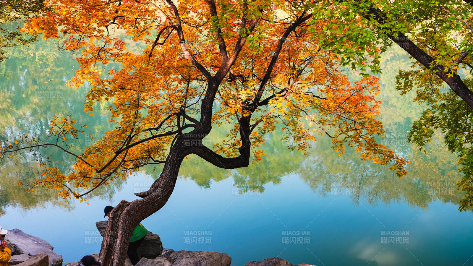 秋树映湖水图片