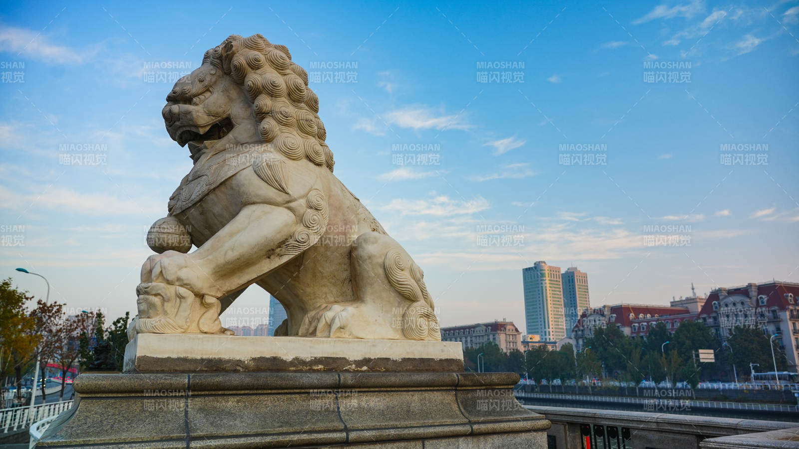 天津狮子桥石狮守桥图片