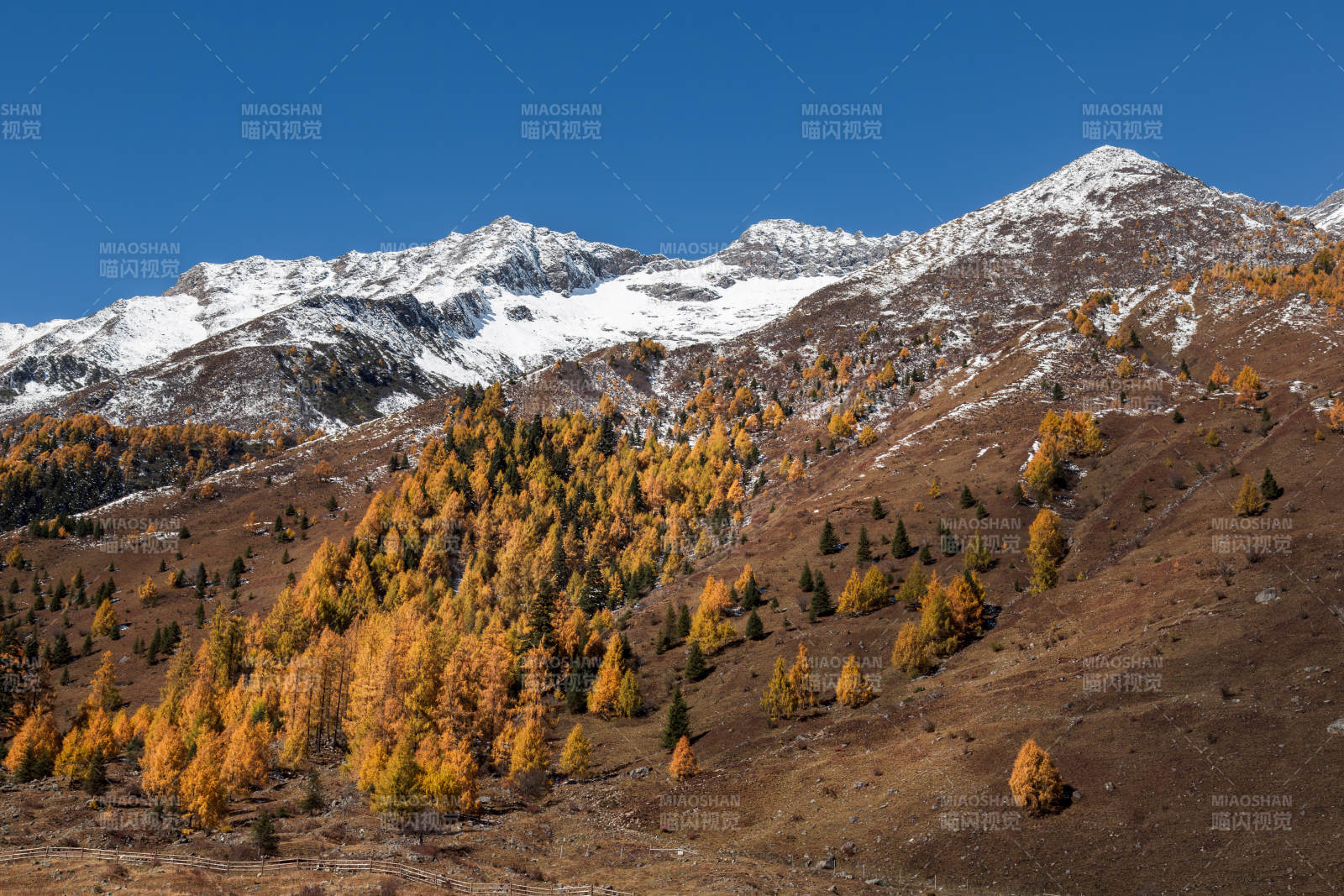 四川双桥沟秋山雪峰美景图片