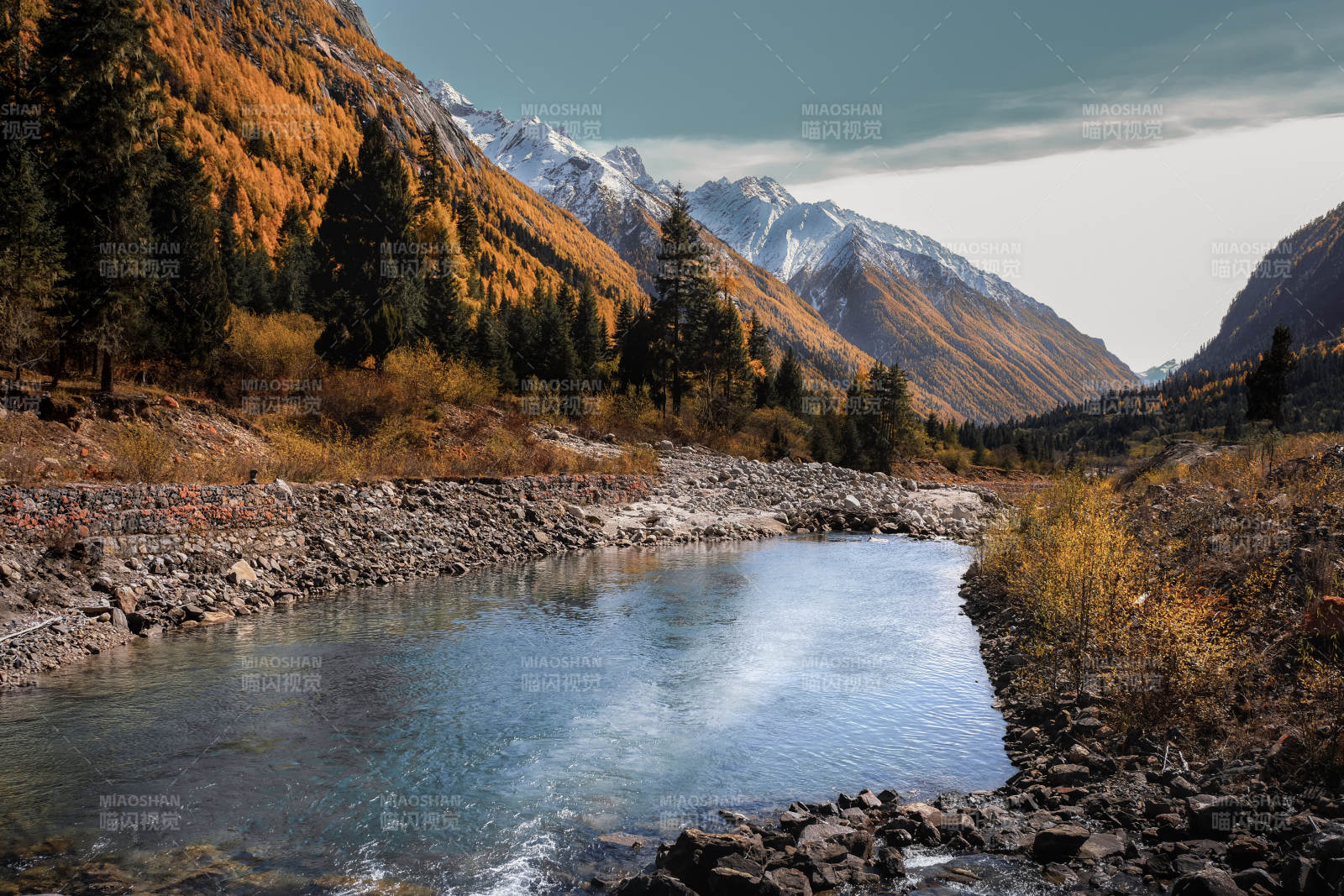 四川毕棚沟秋山溪流静谧景图片