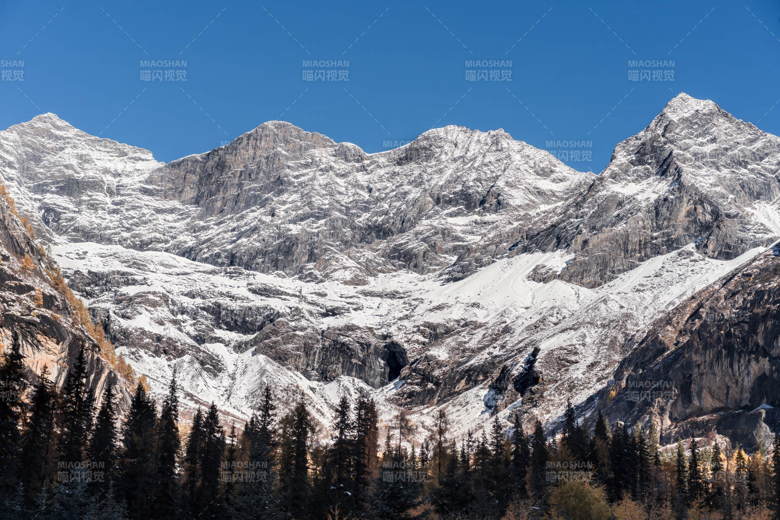 四川双桥沟雪山林海秋色图片