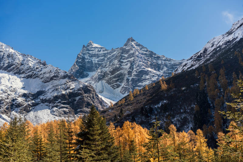 四川双桥沟雪山秋林美景图片