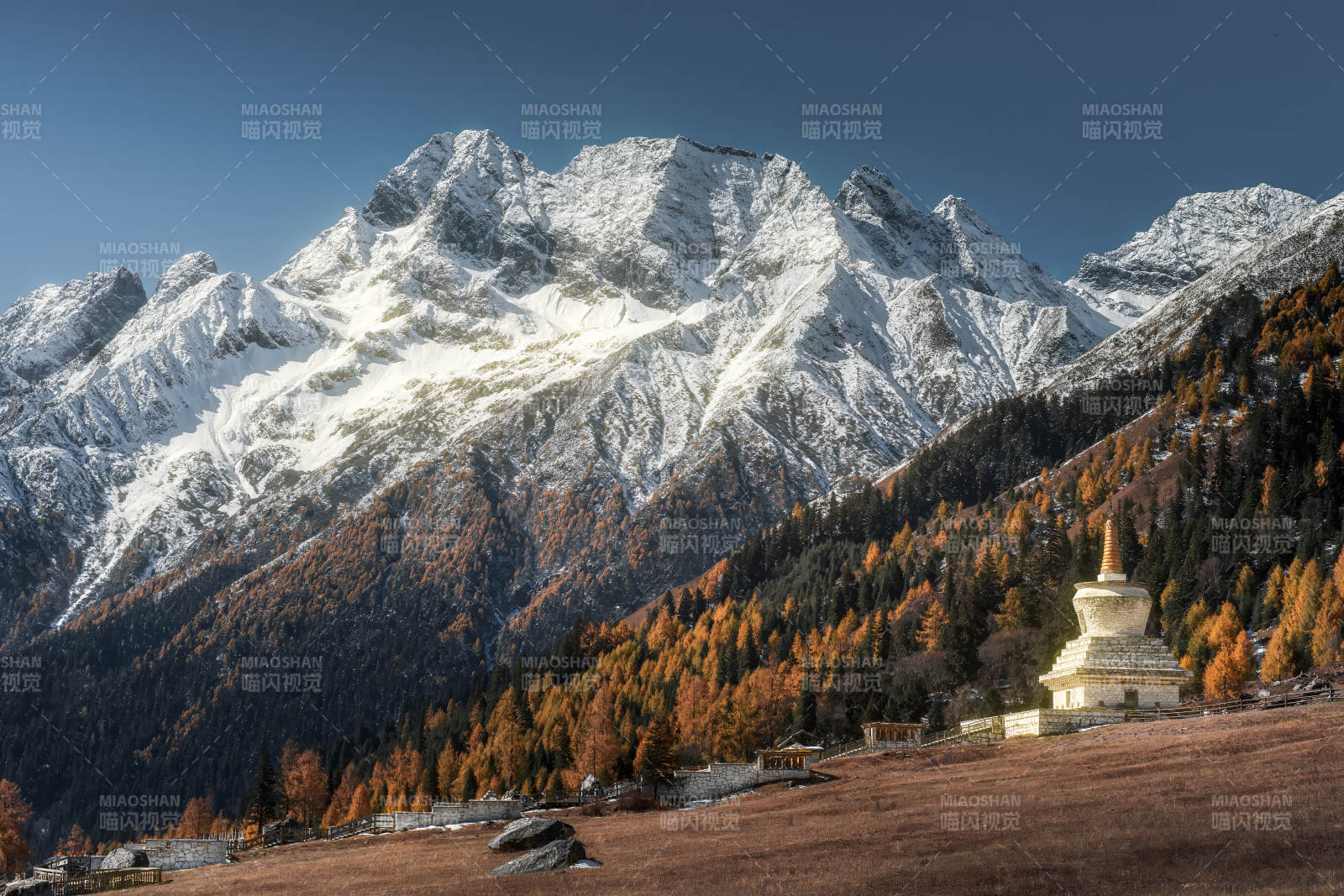 四川双桥沟雪山秋林佛塔图片