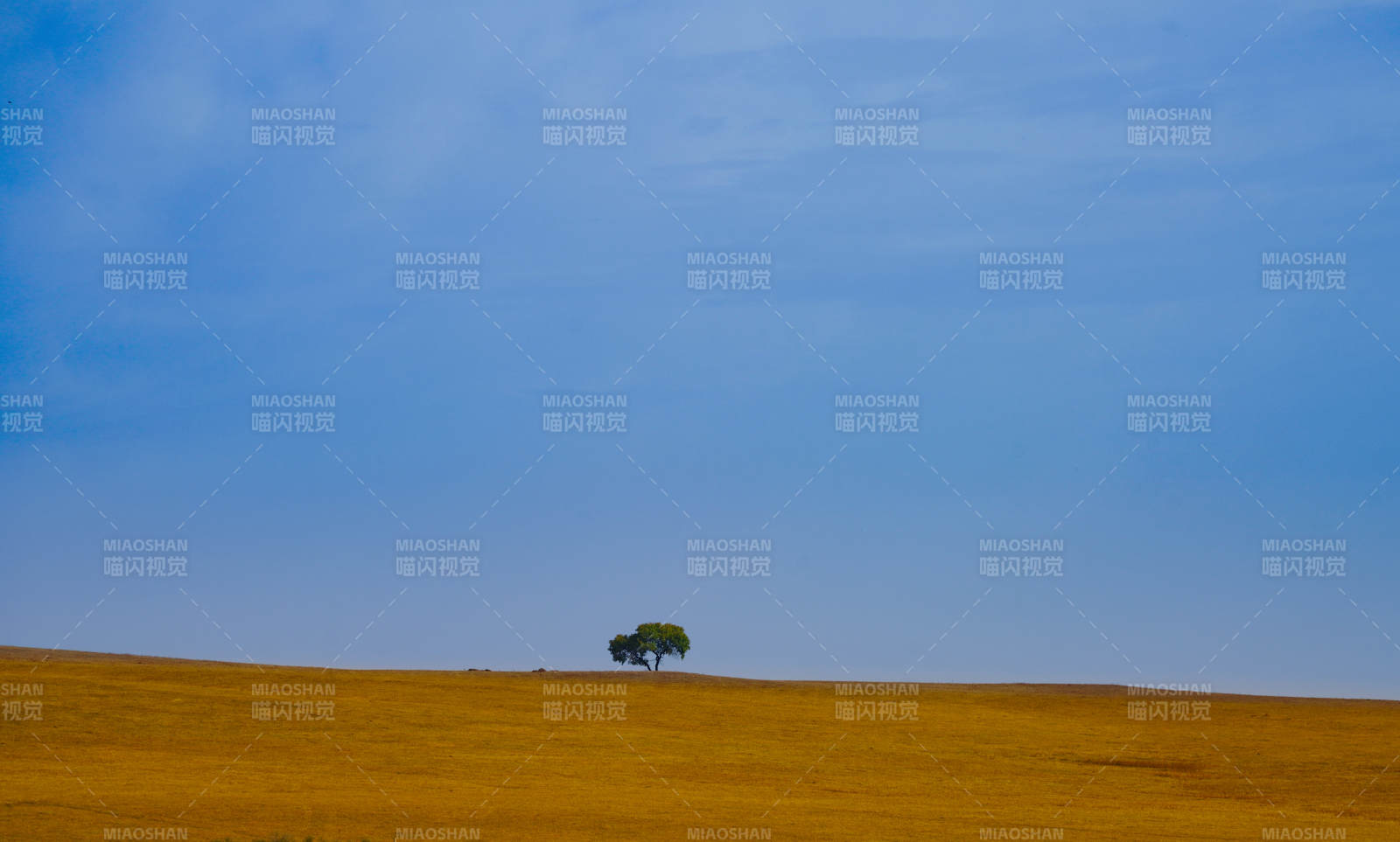 内蒙孤树旷野蓝天图片