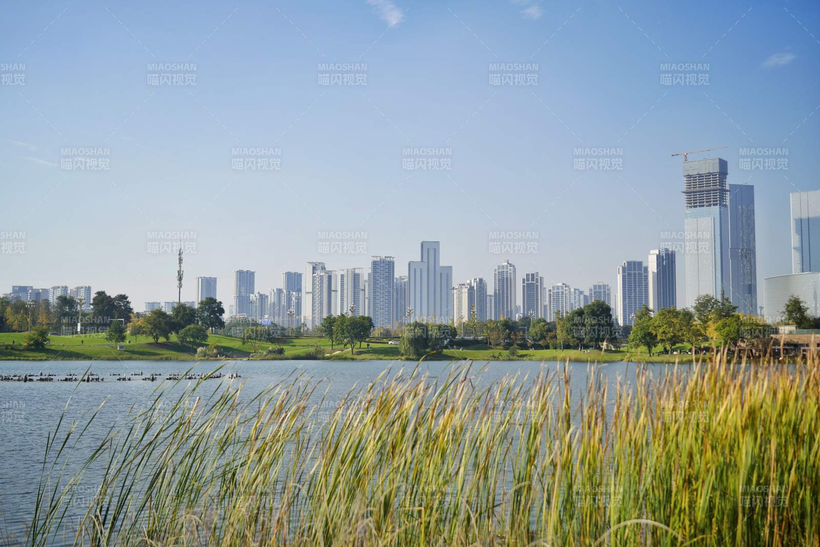 成都秦皇湖图片