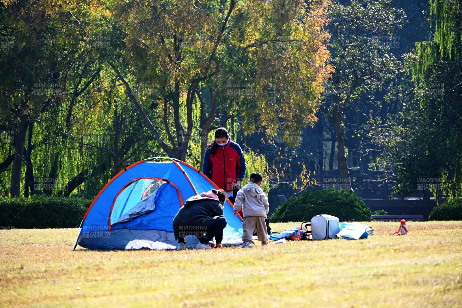 公园露营乐融融图片