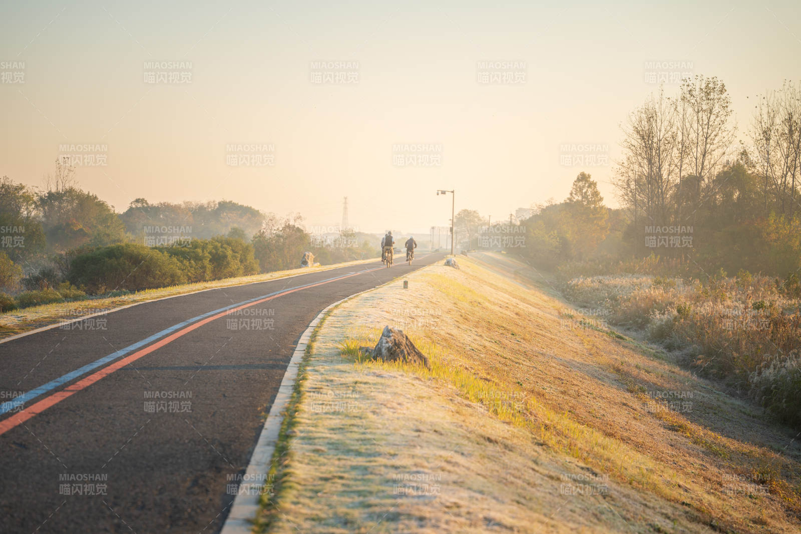 晨光中的骑行道图片